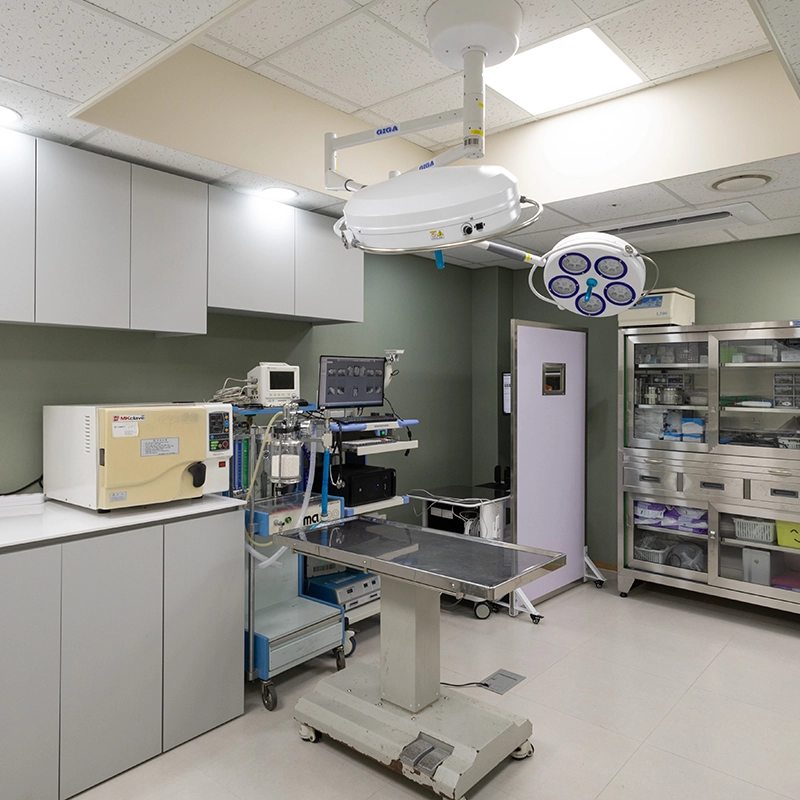 마취 모니터링 장비